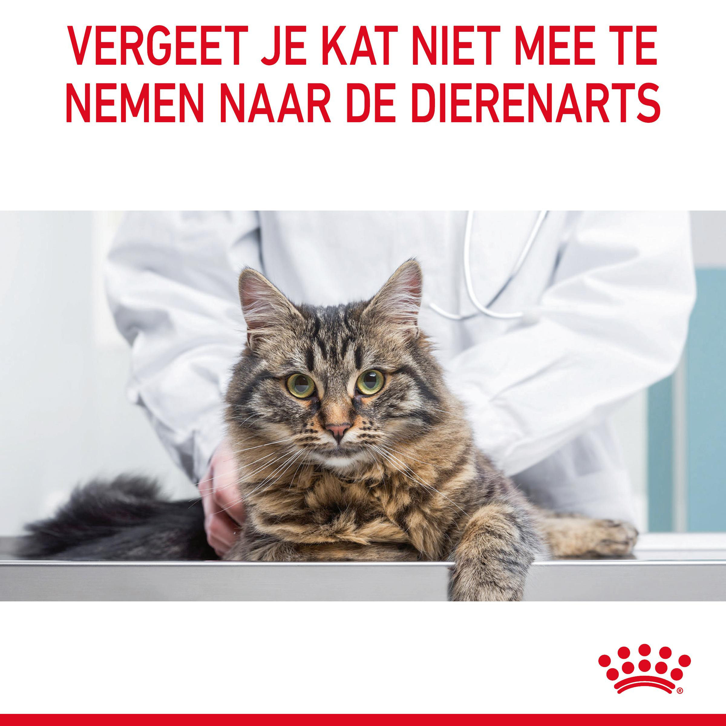 Royal canin hotsell urinary kat