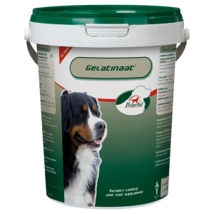 Primeval Gelatinaat voor de hond 2 x 2 kg