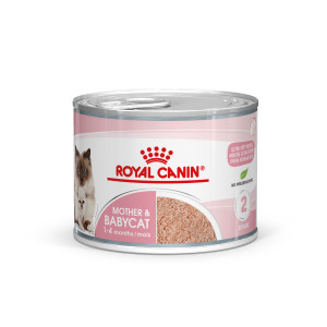 Royal Canin Mother & Babycat Mousse kattenvoer 2 trays (24 x 195 g)