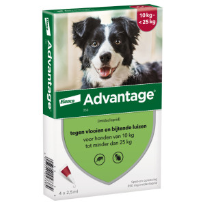 Advantage Nr. 250 vlooienmiddel (10 tot 25kg) hond 5 verpakkingen