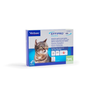 Virbac Effipro Duo Spot-on voor katten tot 6 kg 3 x 4 pipetten